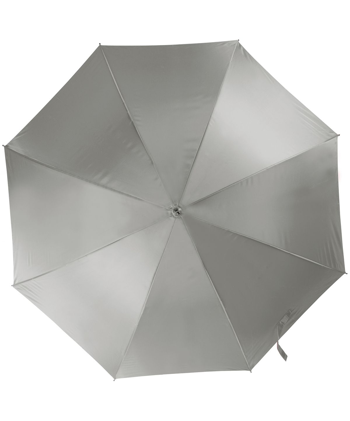Automatic Umbrella Silver Size One Size