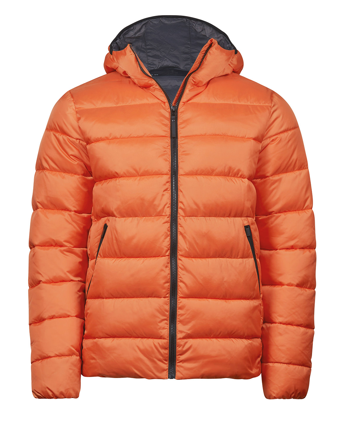 Lite hooded jacket (9646) image 4