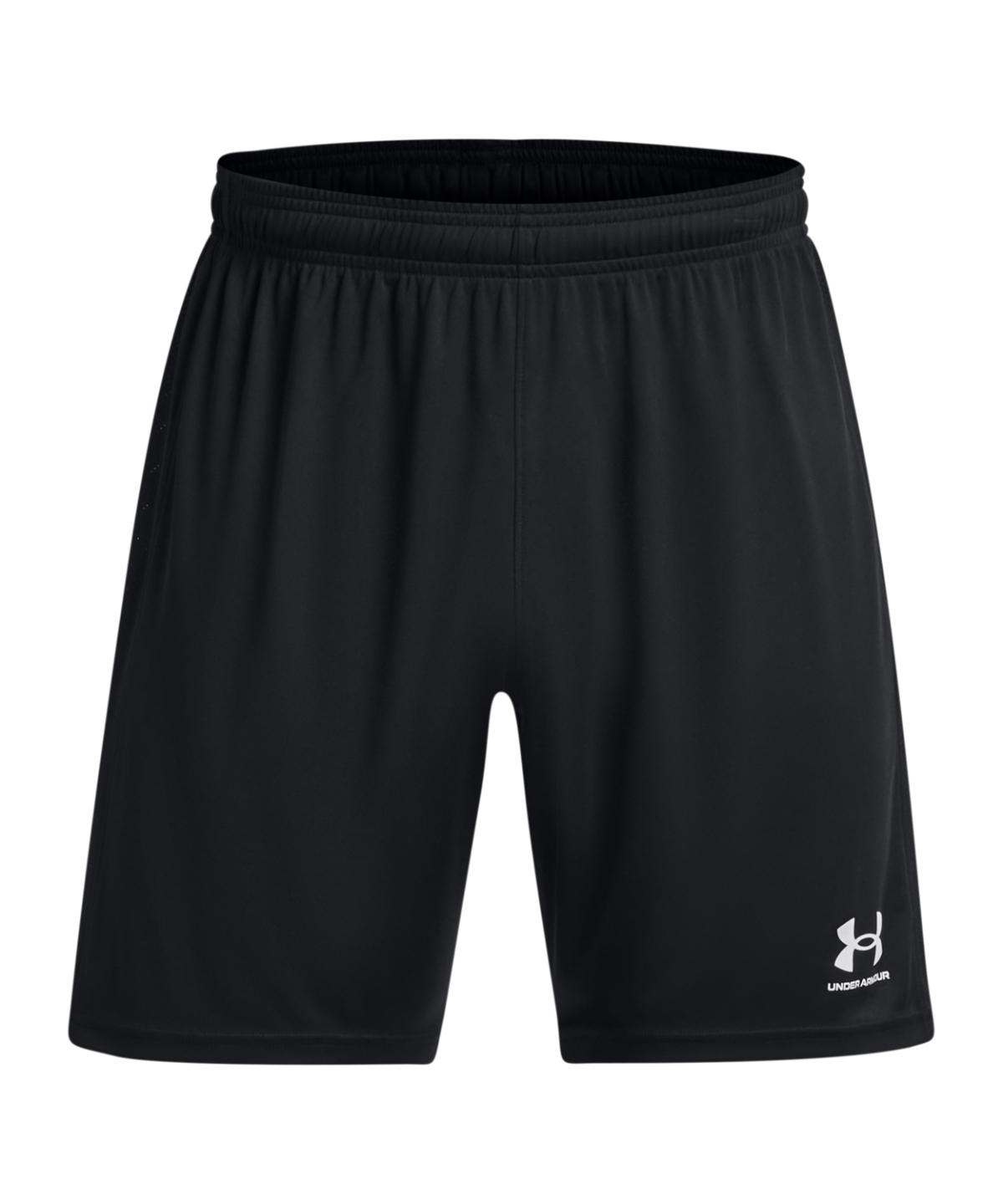 Picture of Men's UA Challenger Knit Shorts