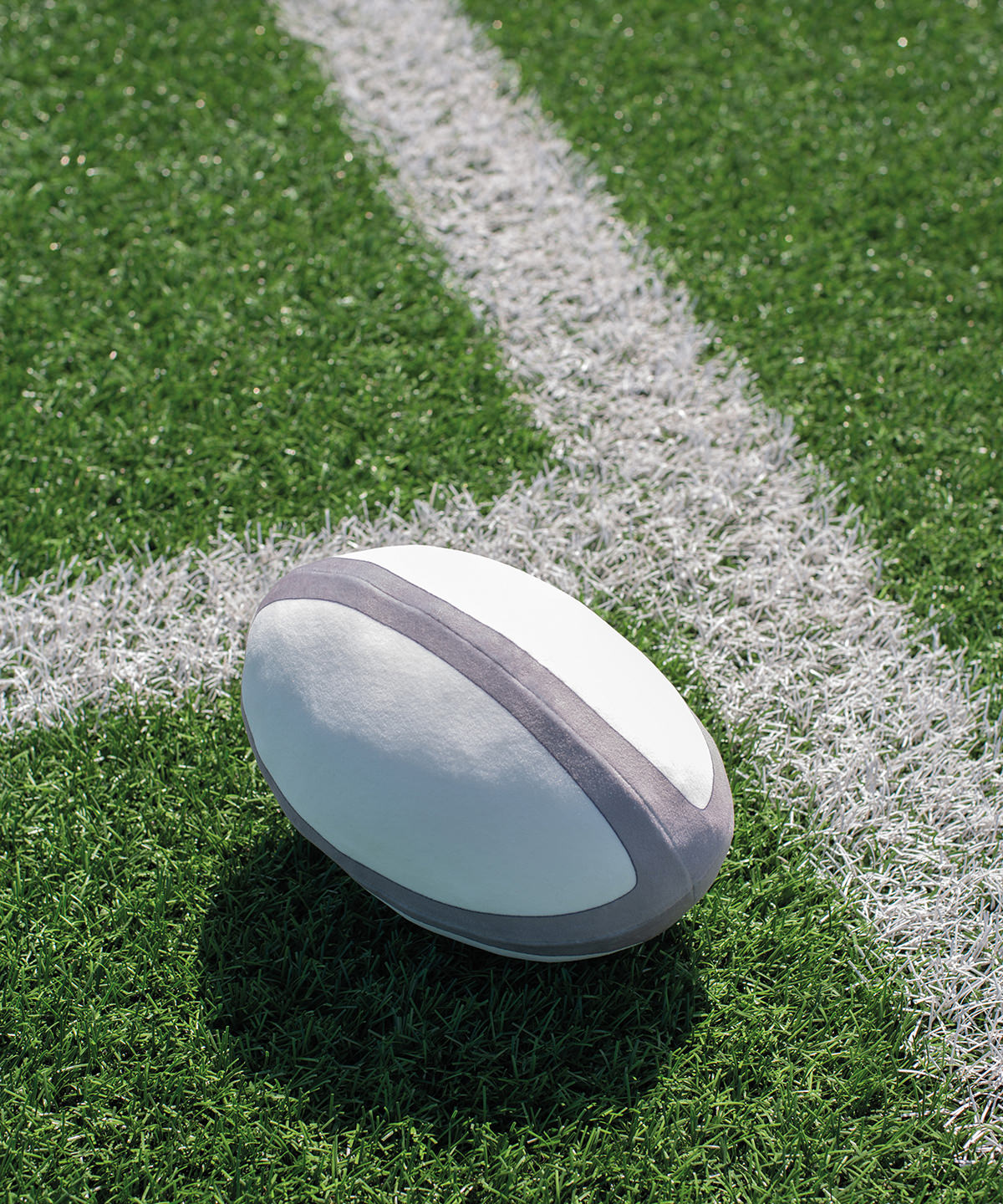 Zippie rugby ball Zippie rugby ball