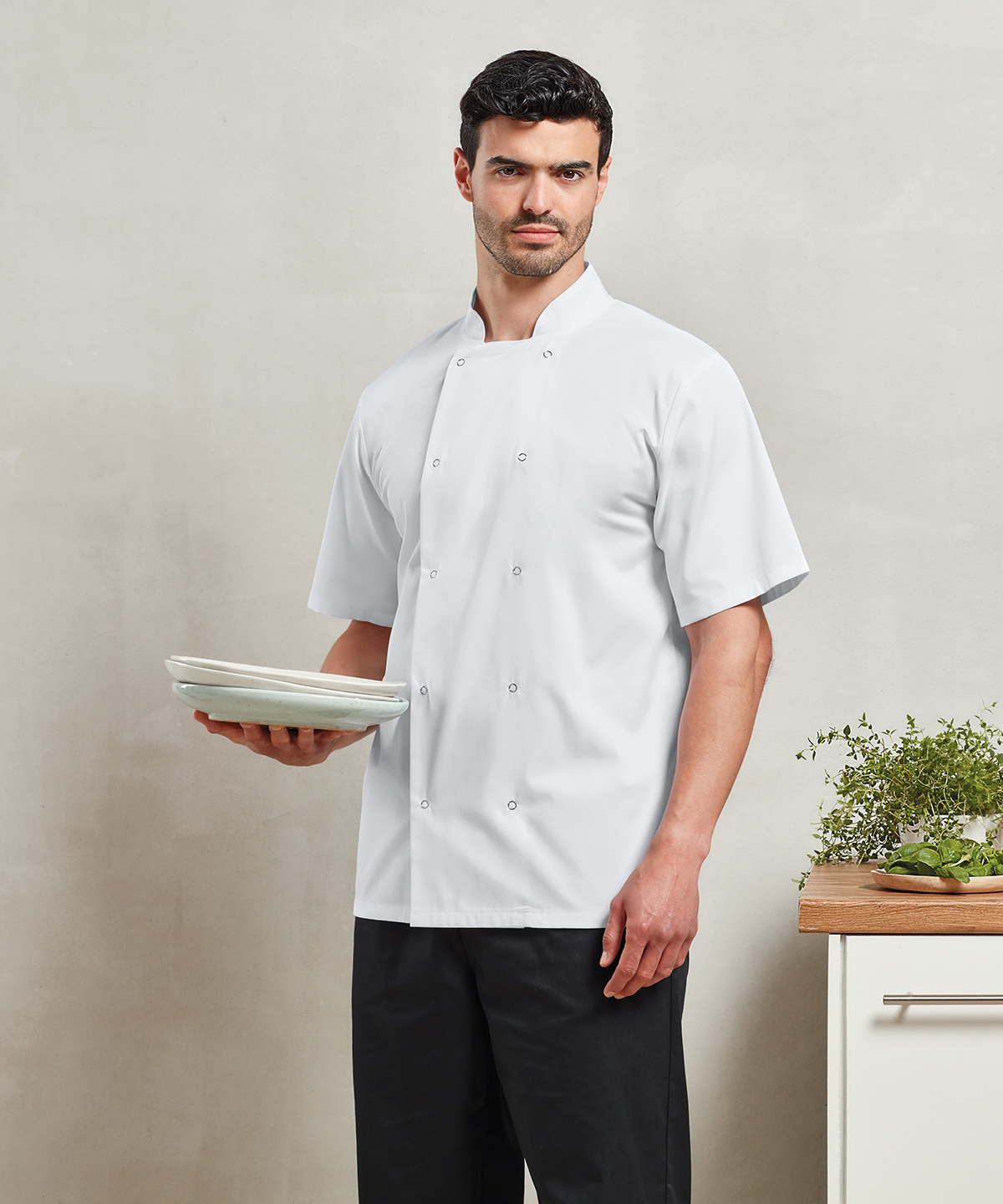 Picture of Studded front short sleeve chef's jacket