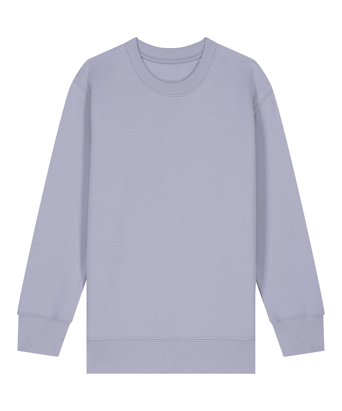 Kids Mini Changer 2.0 iconic crew neck sweatshirt (STSK181) image 13