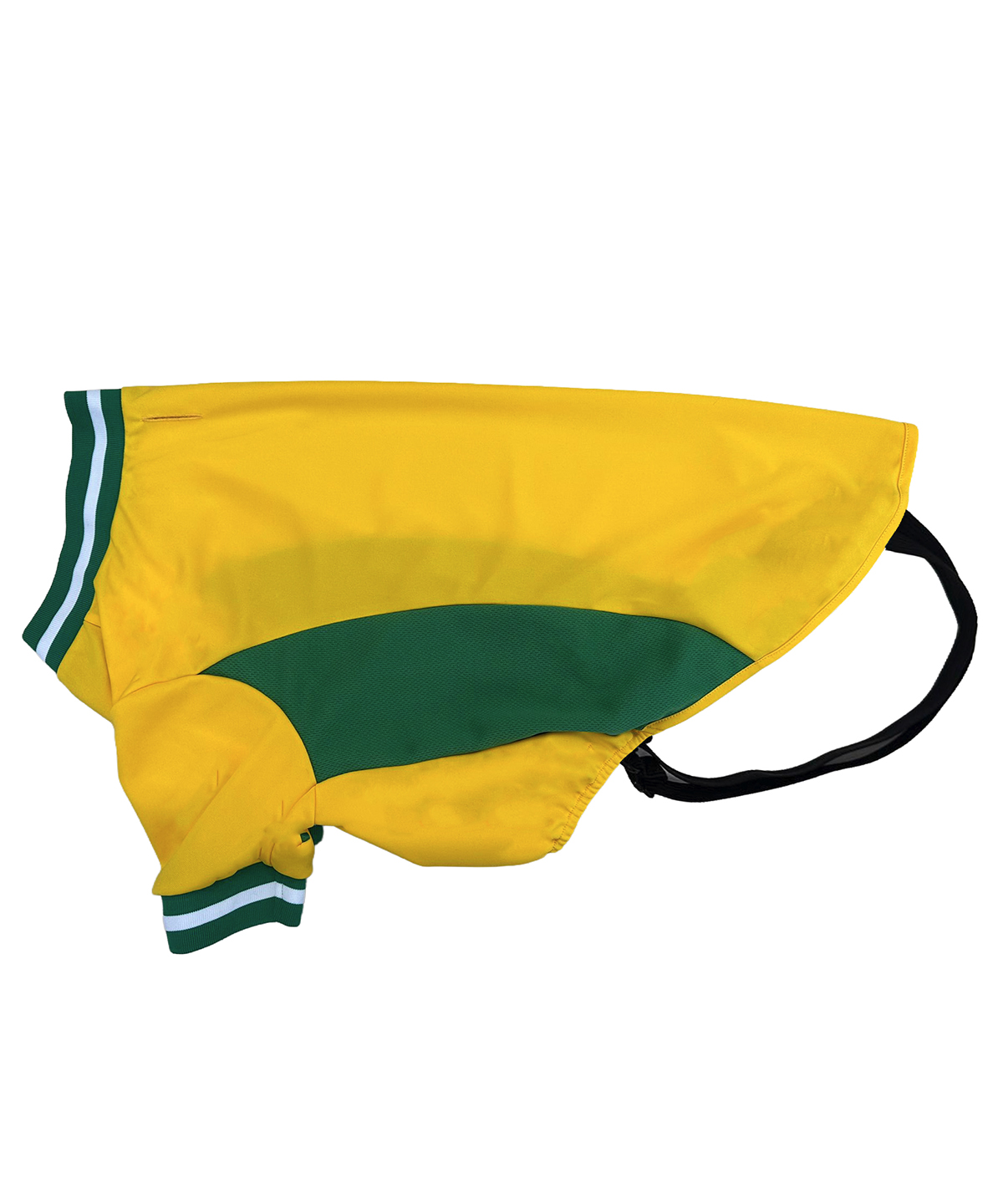 Dog’s football t-shirt, front