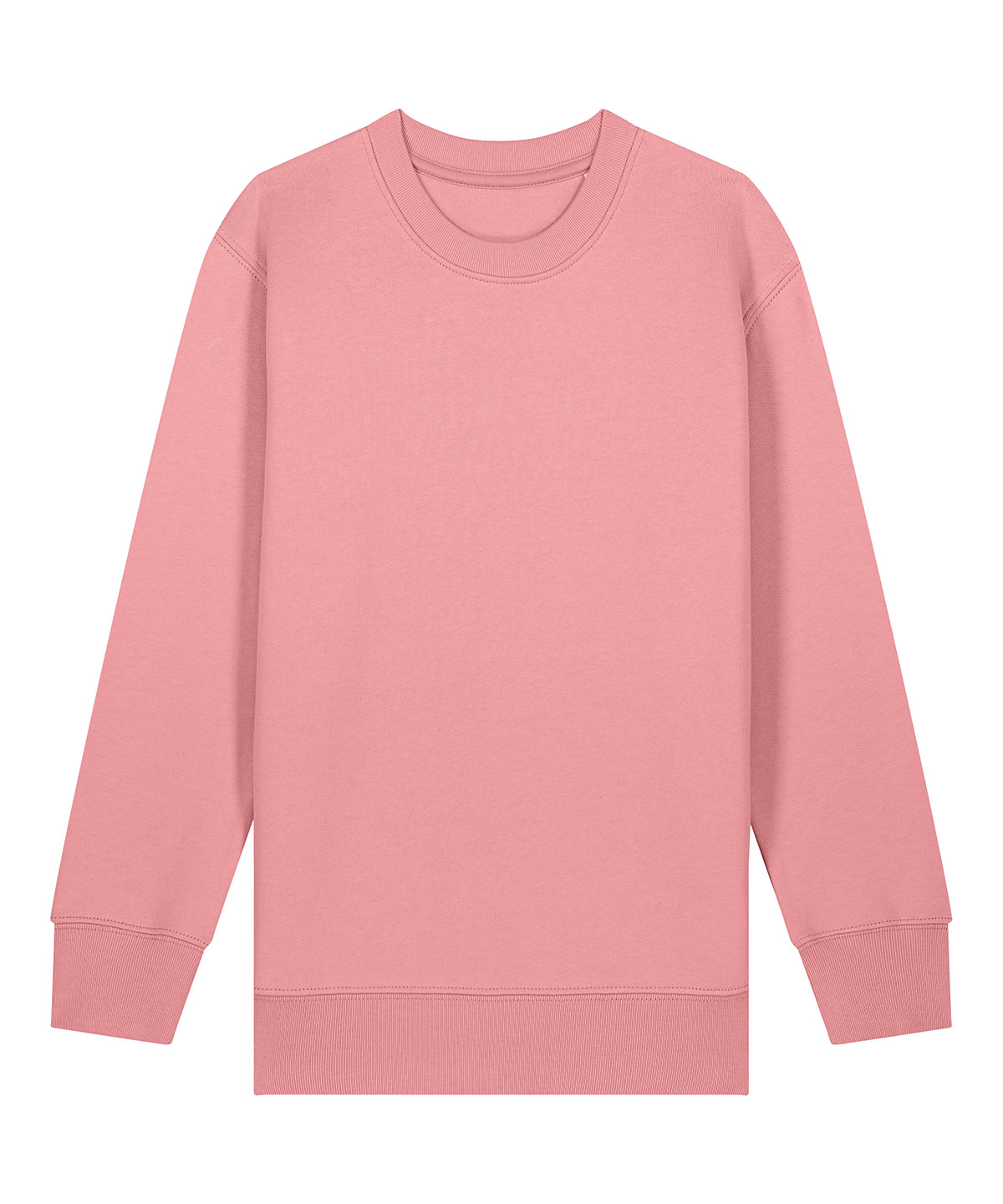 Kids Mini Changer 2.0 iconic crew neck sweatshirt (STSK181) image 15
