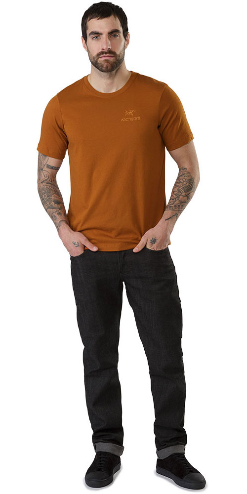arcteryx emblem t shirt