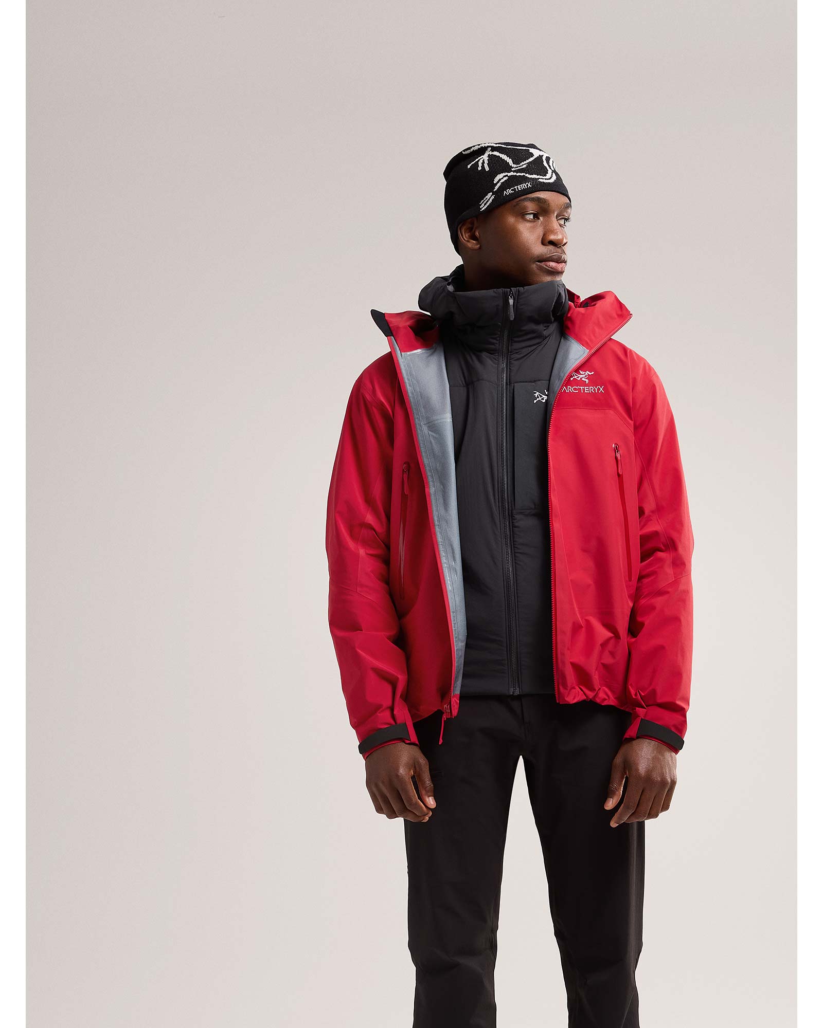 Arcteryx mens beta ar jacket best sale