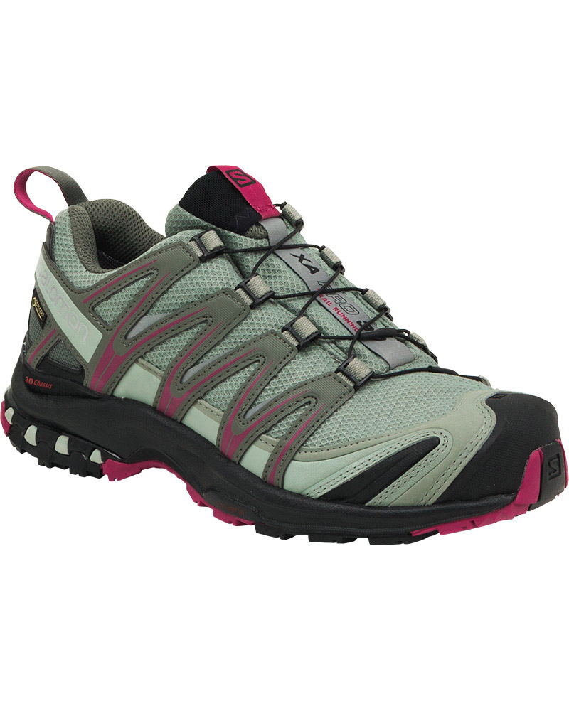salomon pro 3d gore tex