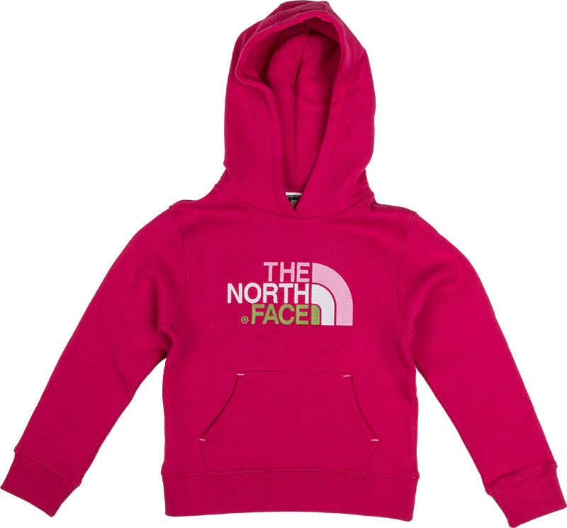 north face drew peak hoodie youth