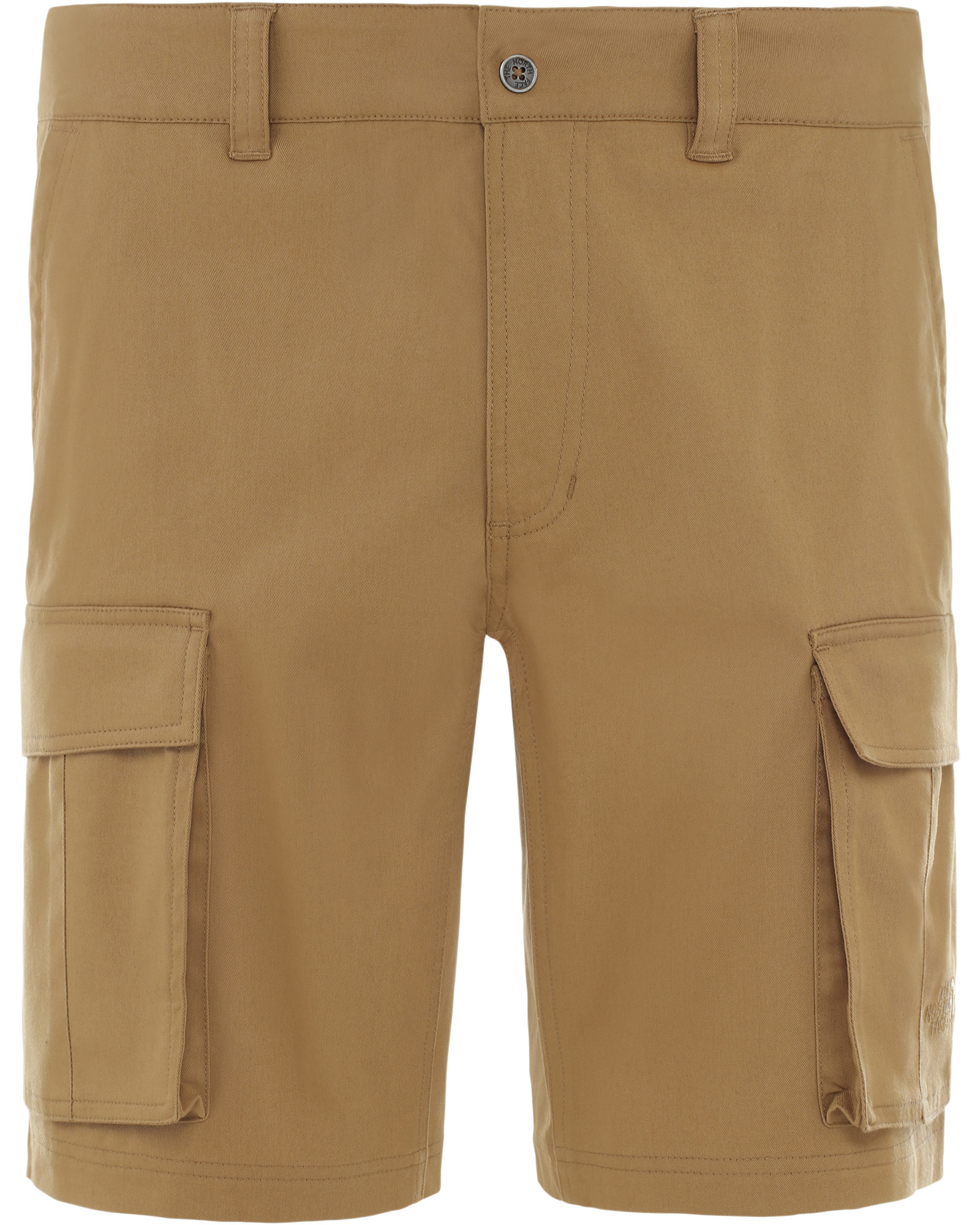 men's the north face cargo shorts