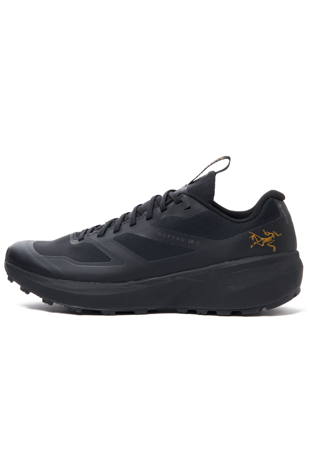 Arc'teryx Norvan LD 3 GORE-TEX Men's Shoes