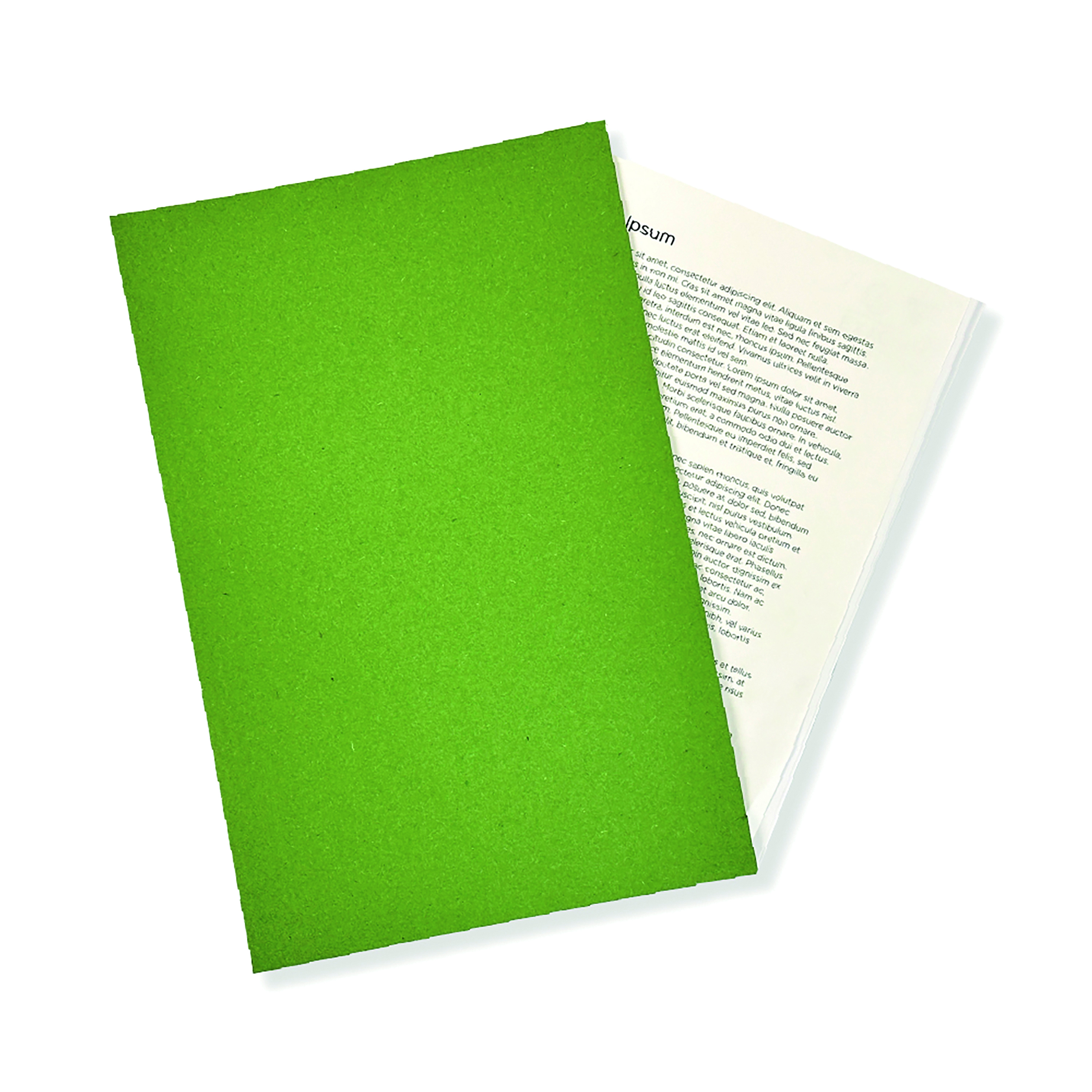 Exacompta+Guildhall+Square+Cut+Folder+315gsm+Foolscap+Green+%28Pack+of+100%29+FS315-GRNZ