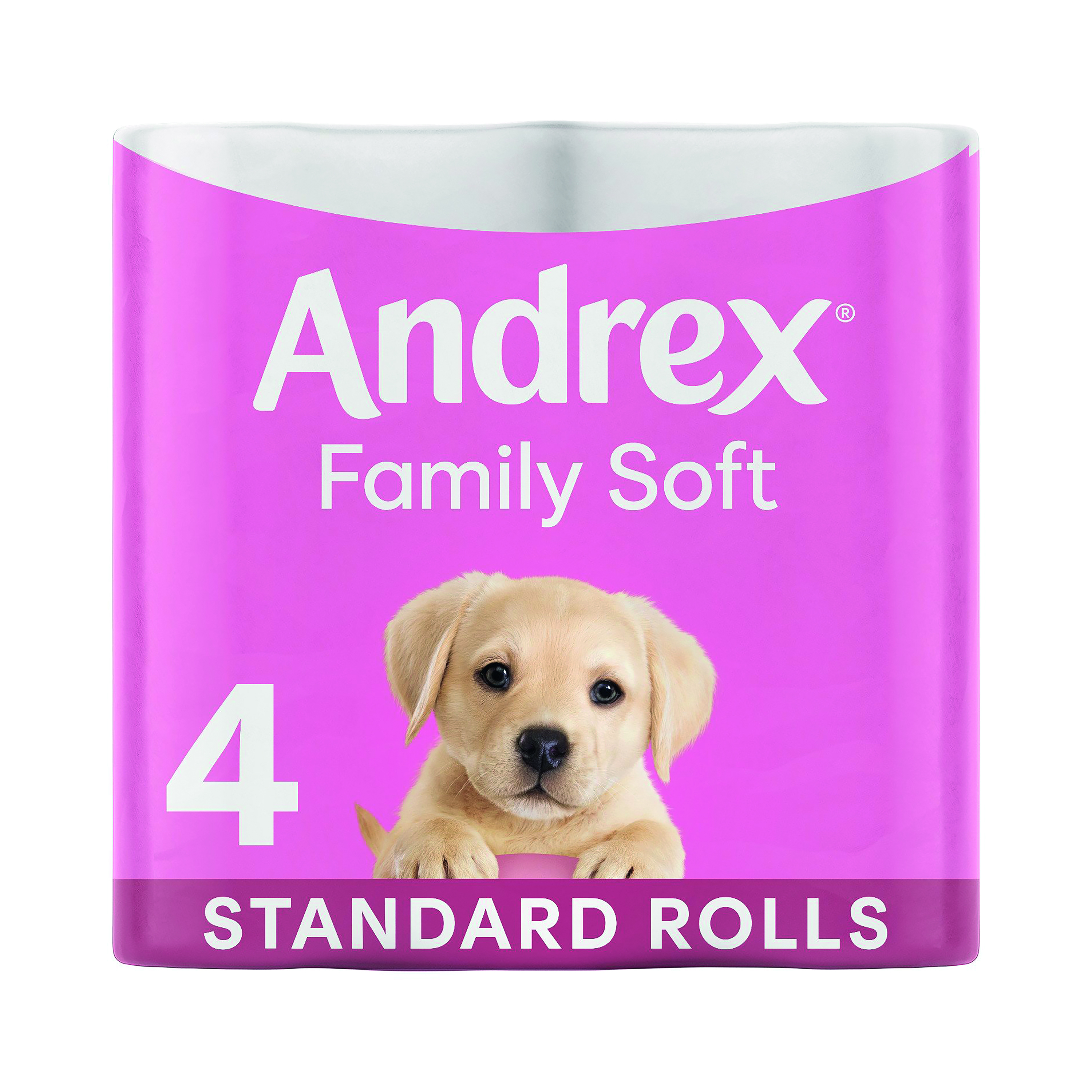 Andrex+Family+Soft+Toilet+Roll+2-Ply+170+Sheets+Per+Roll+6x4+%28Pack+of+24%29+4490863