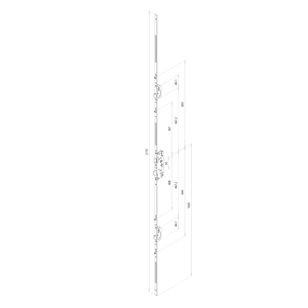 FUHR 859 Type 19 Lever Operated Latch & Deadbolt - 2 Hook & 4 Roller FUHR 859 Type 19 Lever Operated Latch & Deadbolt - 2 Hook & 4 Roller