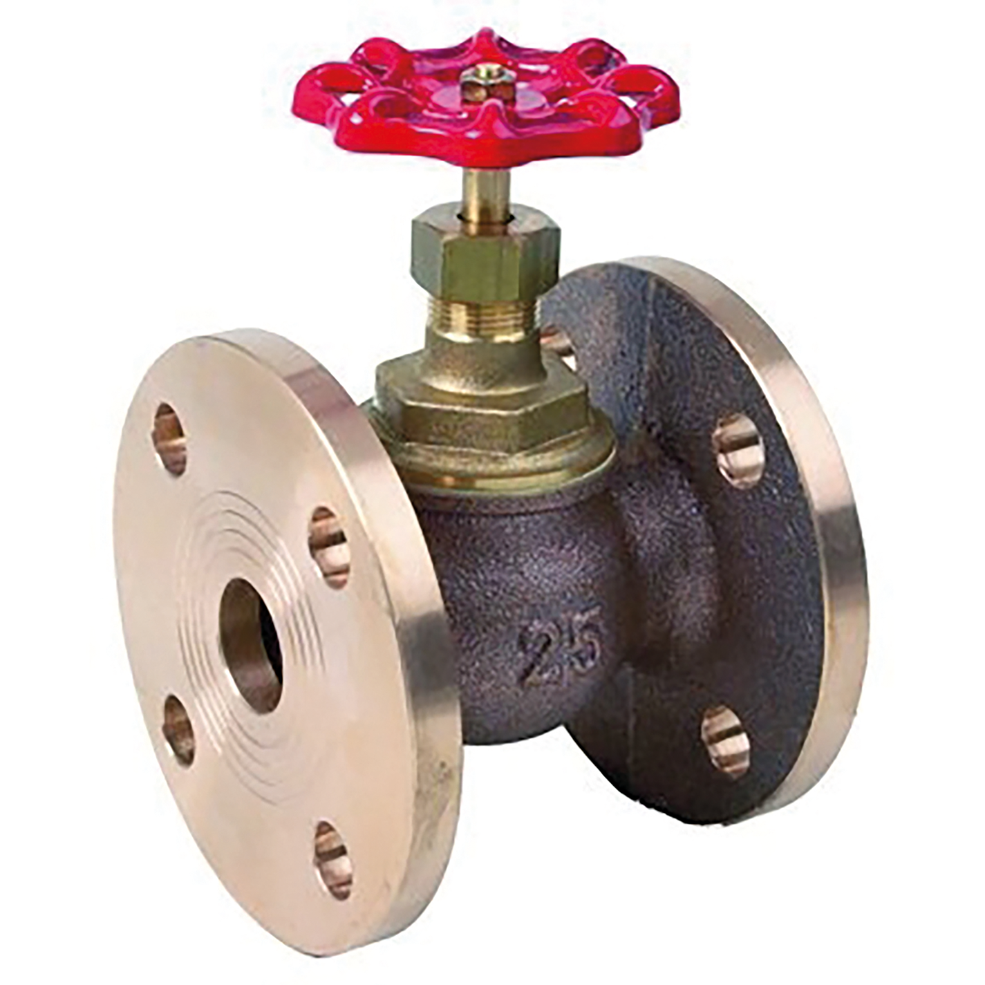 1.1/2" Flanged Globe Valve