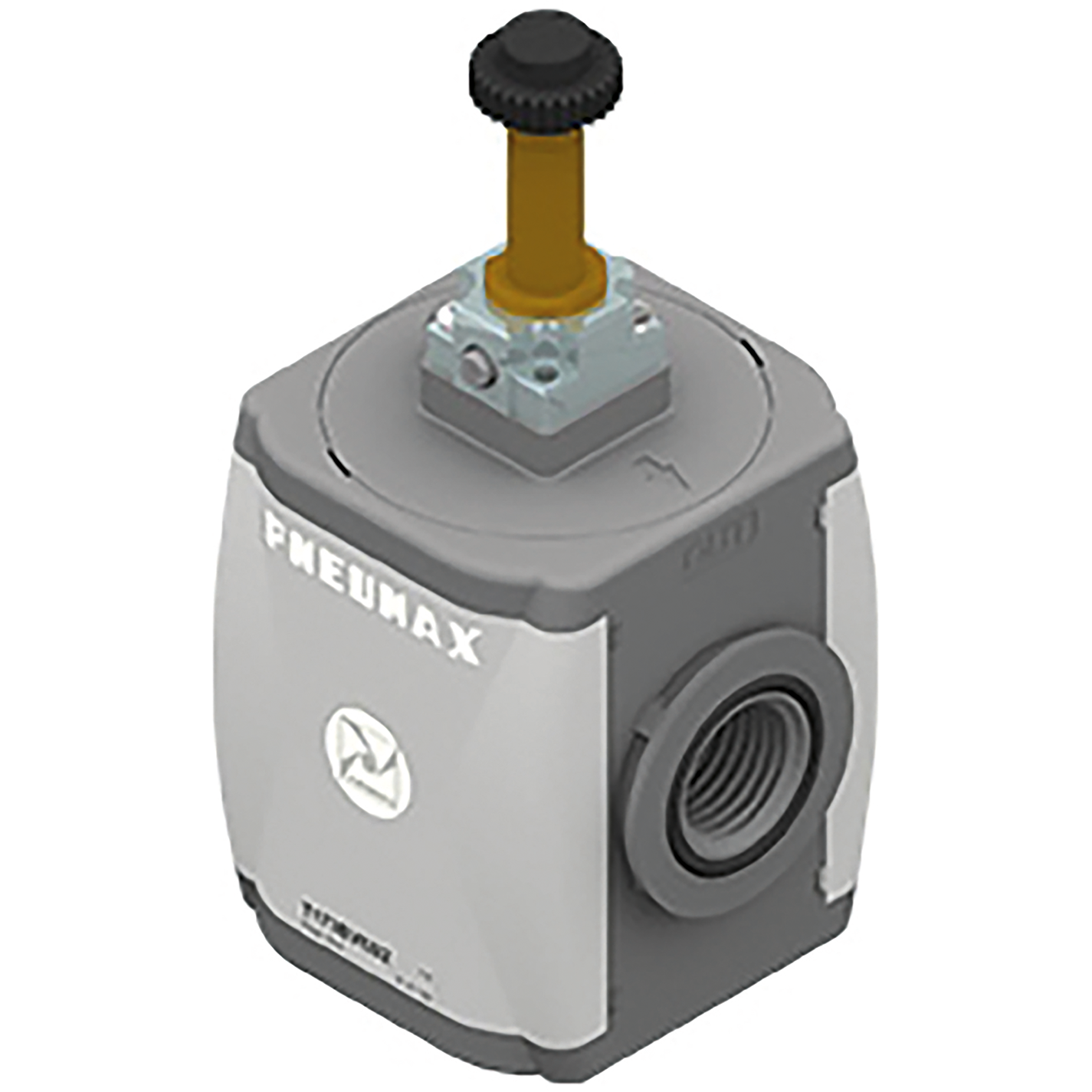 1" BSPP Electric Shut Off Valve