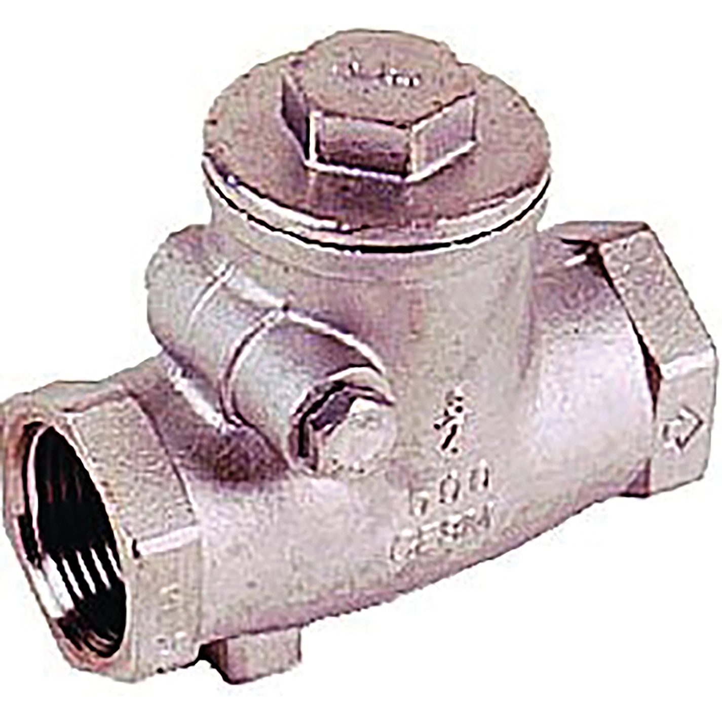 1/2" BSPP Female Swing Check Valve