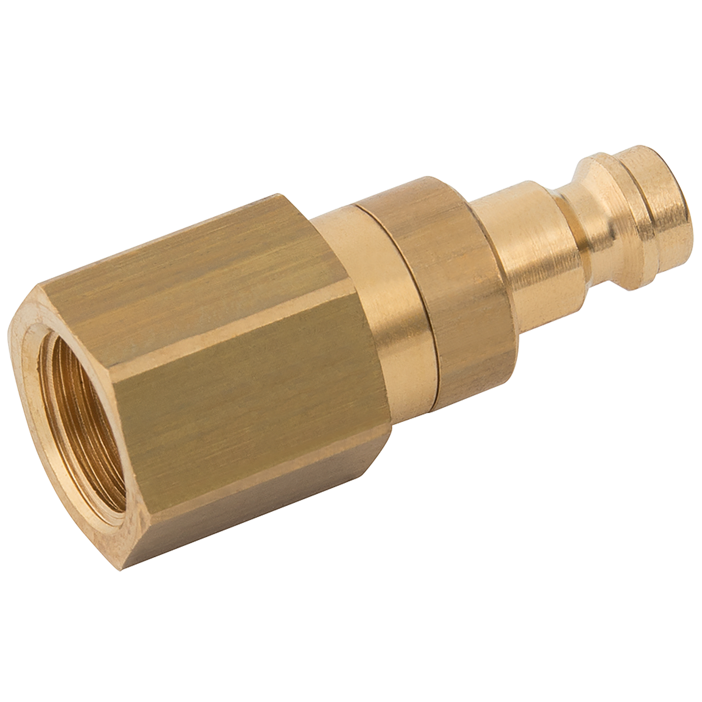 1/4" BSPP Female Plug