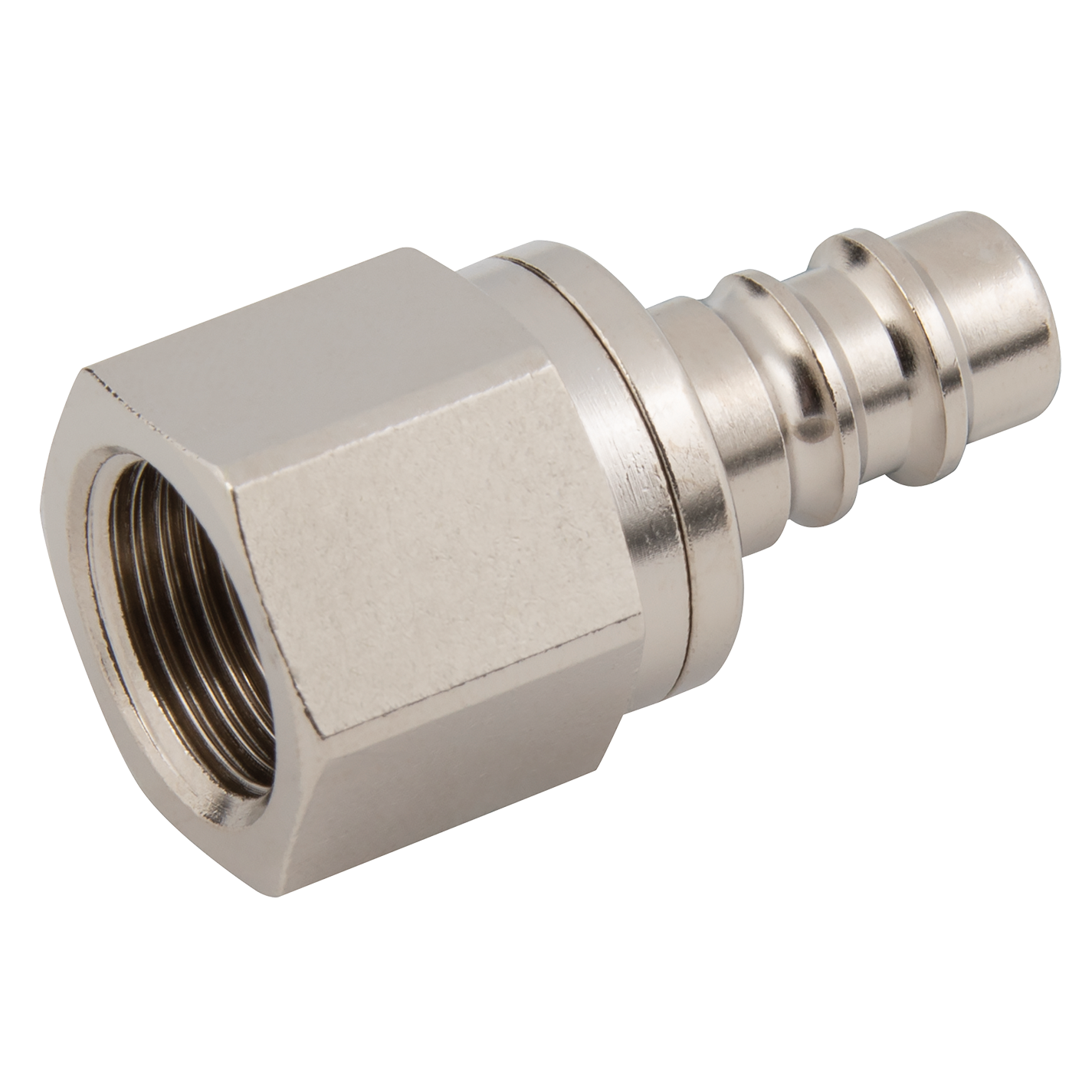 1/4" BSPP Female Plug