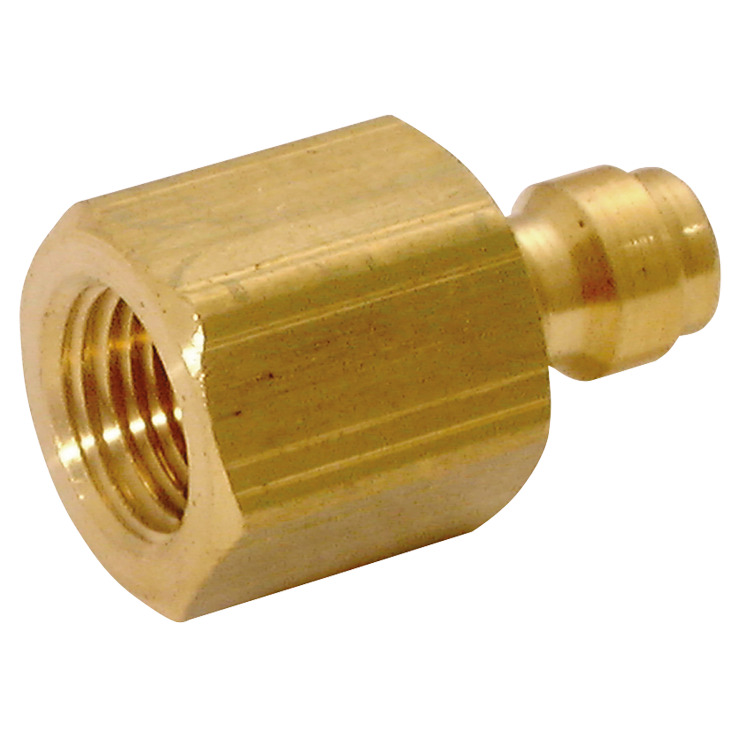 1 4 NPT Female Plug Shepherd Hydraulics