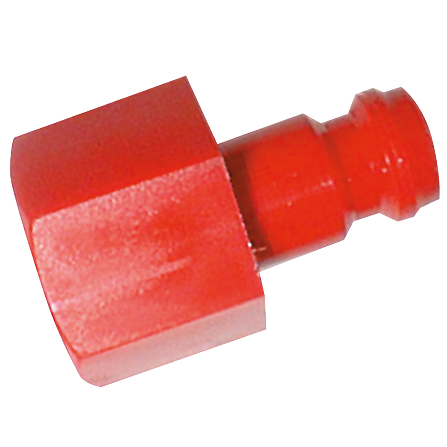 1/4" BSPT Female Plug