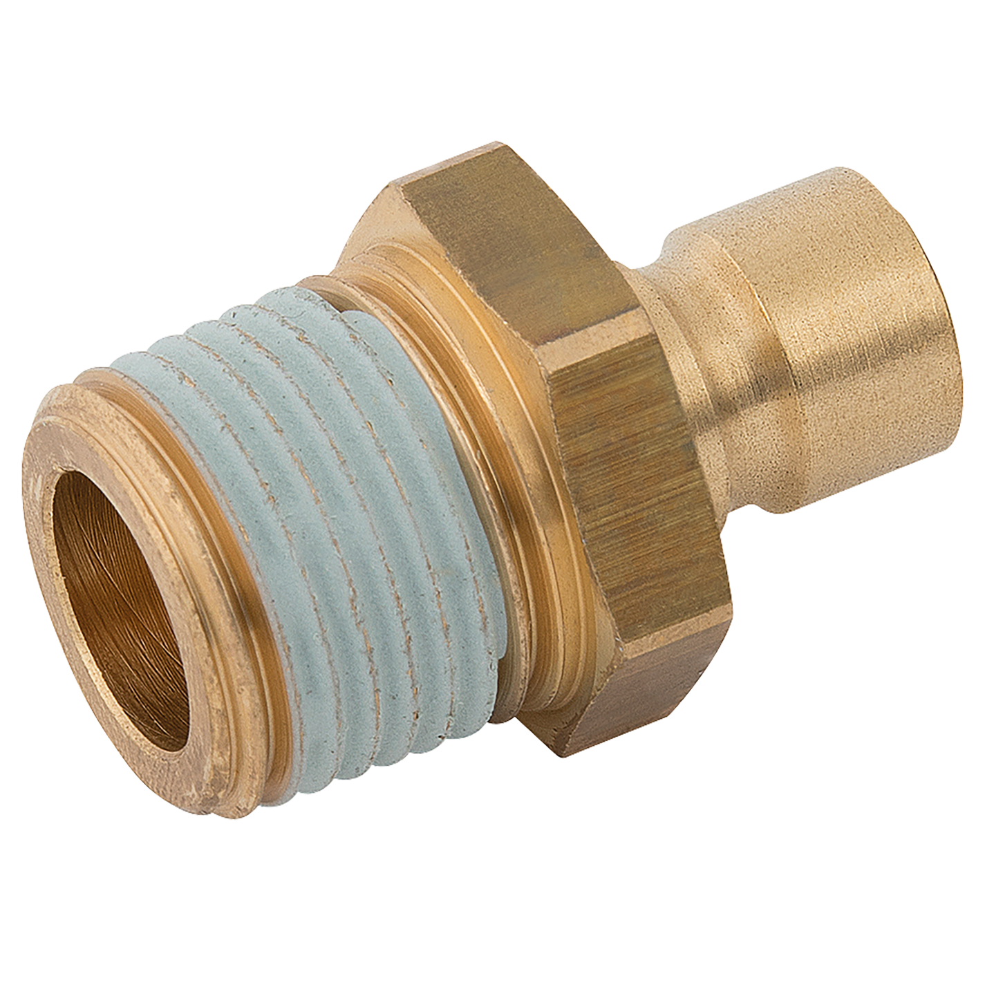 1 2 BSPT Male Plug Shepherd Hydraulics