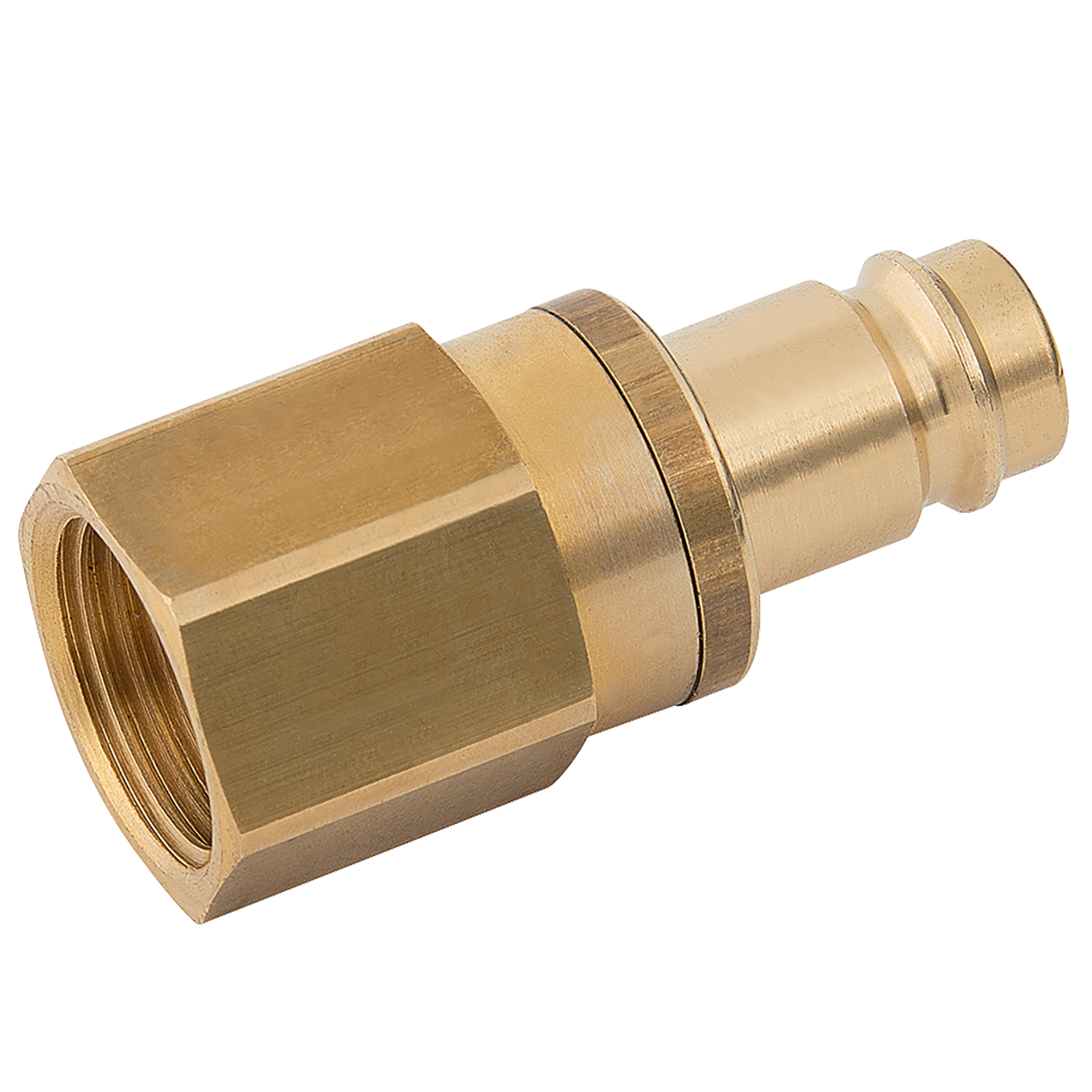 1/2" BSPP Female Plug