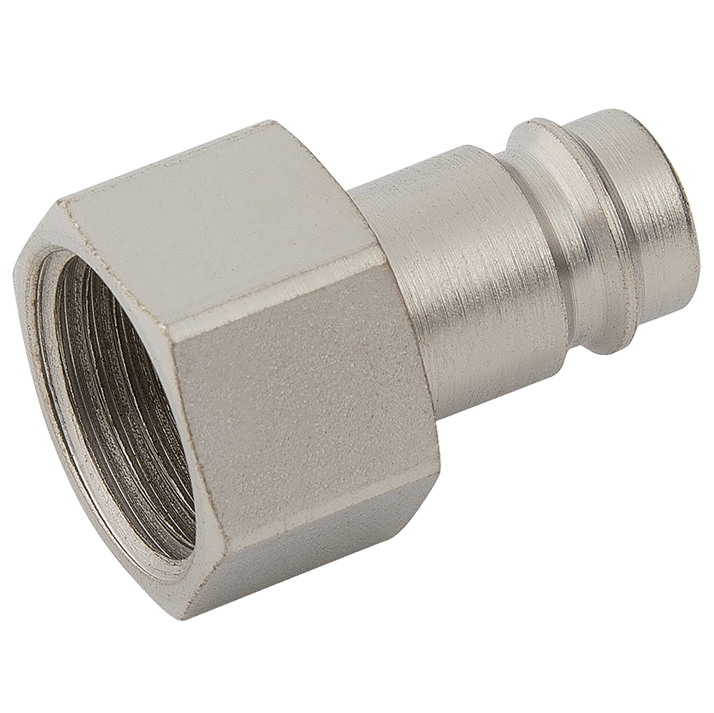 1/4" BSPP Female Plug