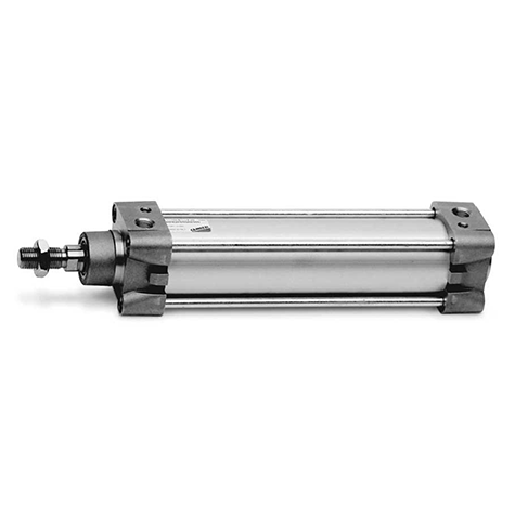 125X25X1/2 BSP DBLE.ACTING CYLINDER