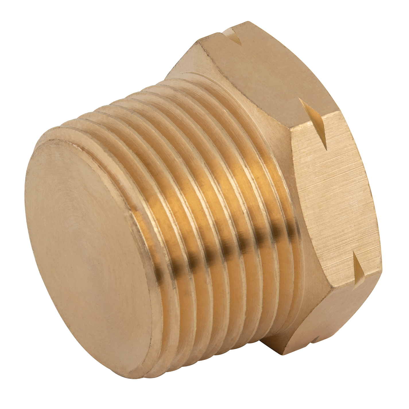 1" NPT Male Solid Plug