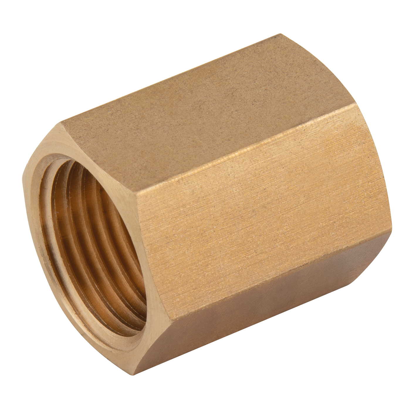 1 2 BSPT Female Equal Socket Shepherd Hydraulics