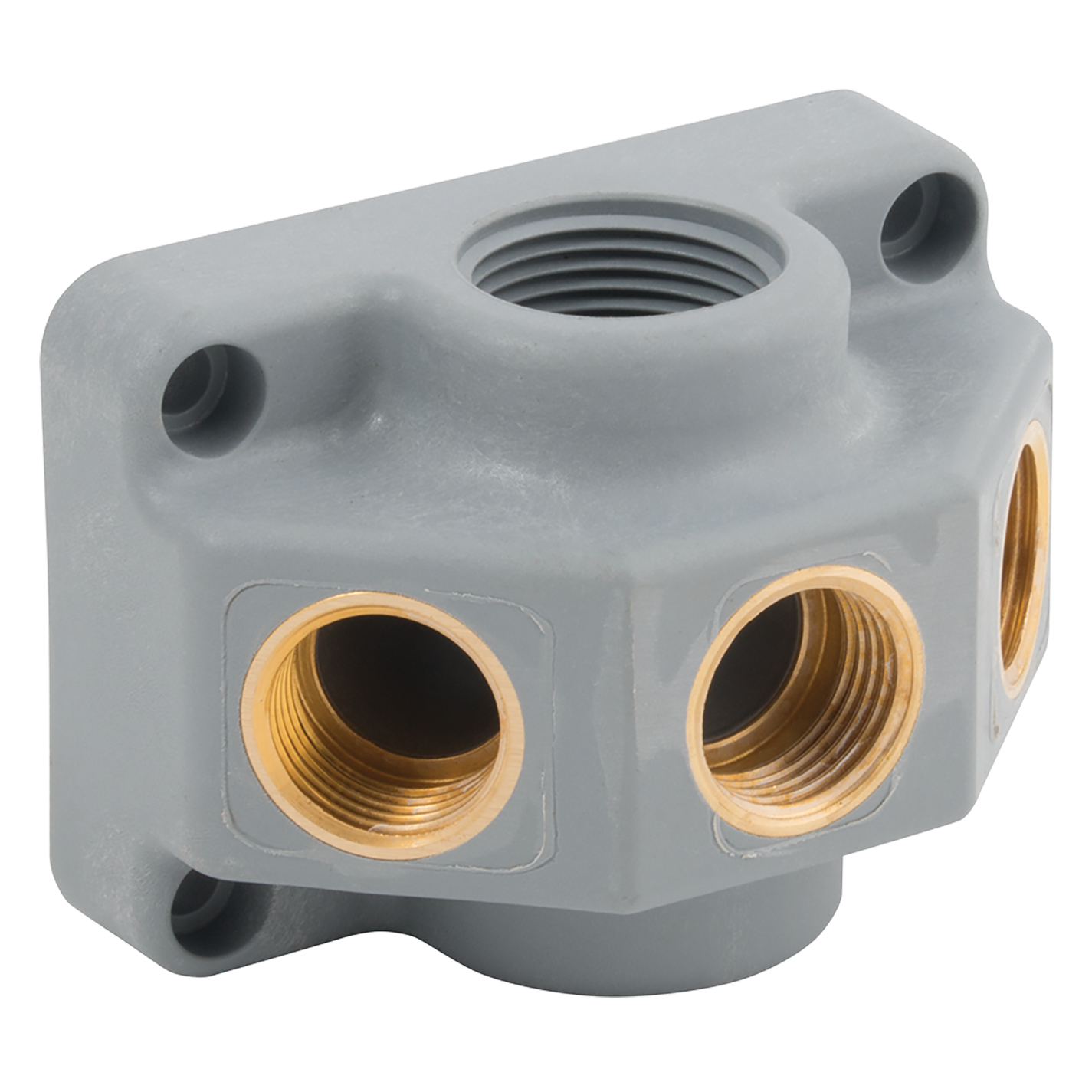 1X3/4" BSPP INLET 3X1/2" BSPP OUTLETS