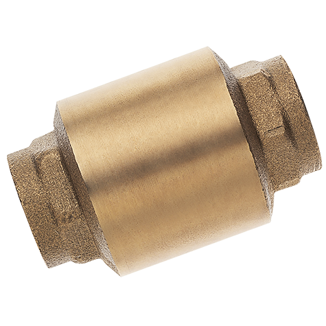 1" BSPP Female Spring Check Valve