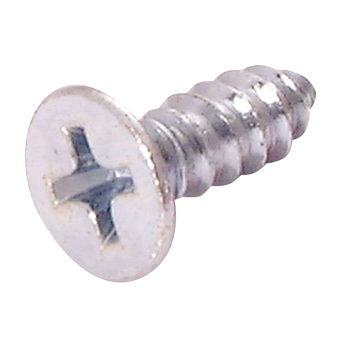 SHOTBLAST SCREW