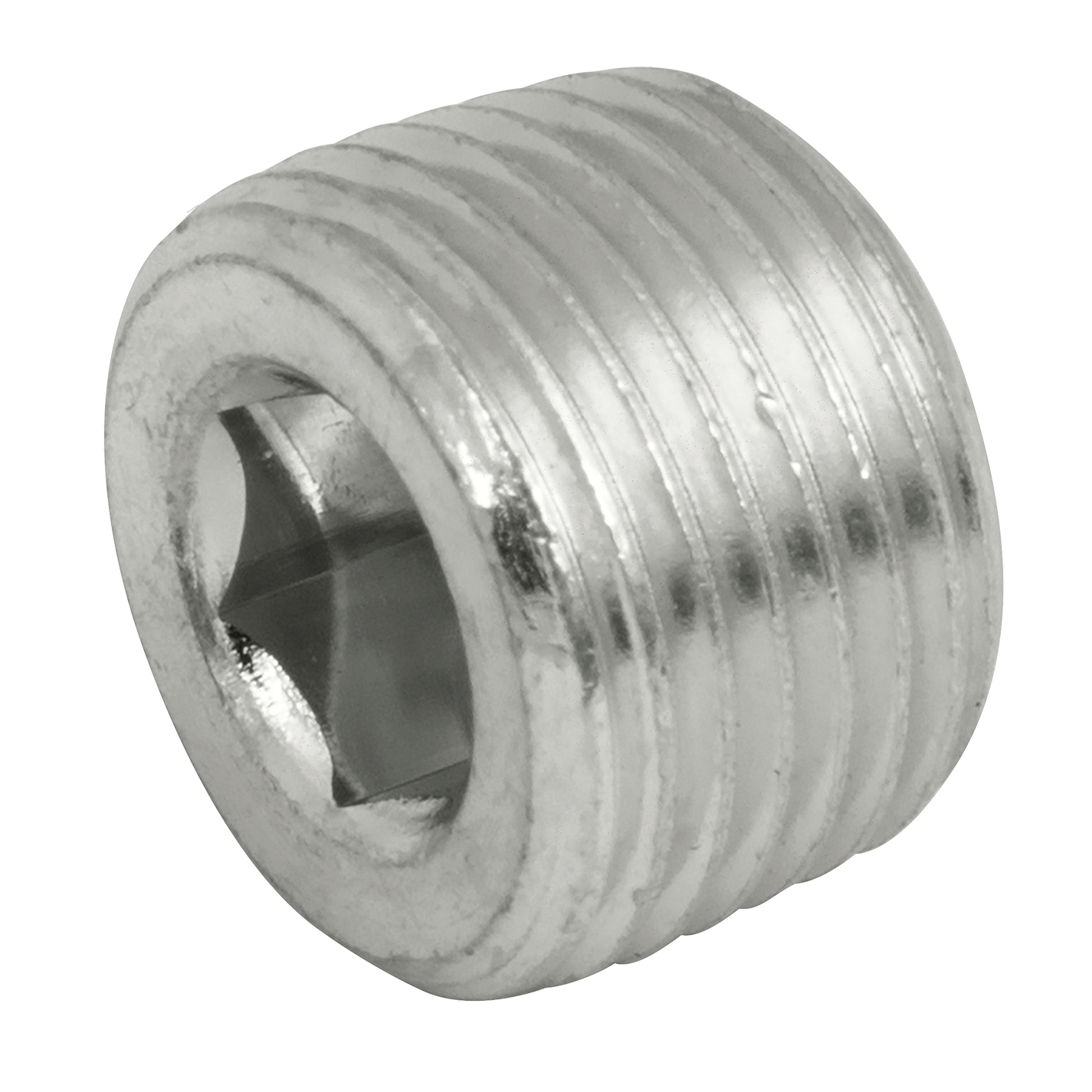 1 4 NPTF HEX SOCKET STEEL PLUG Shepherd Hydraulics
