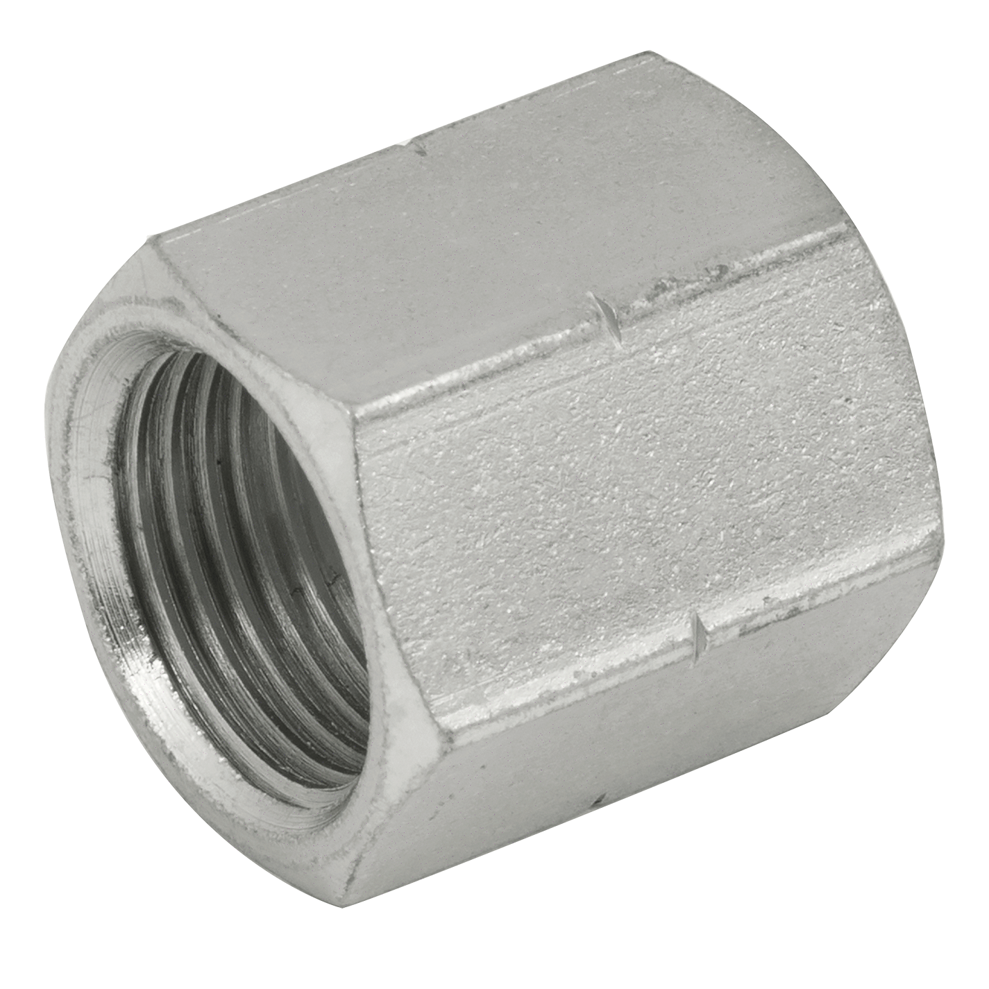 22MM JIS METRIC FEMALE STEEL CAP Shepherd Hydraulics