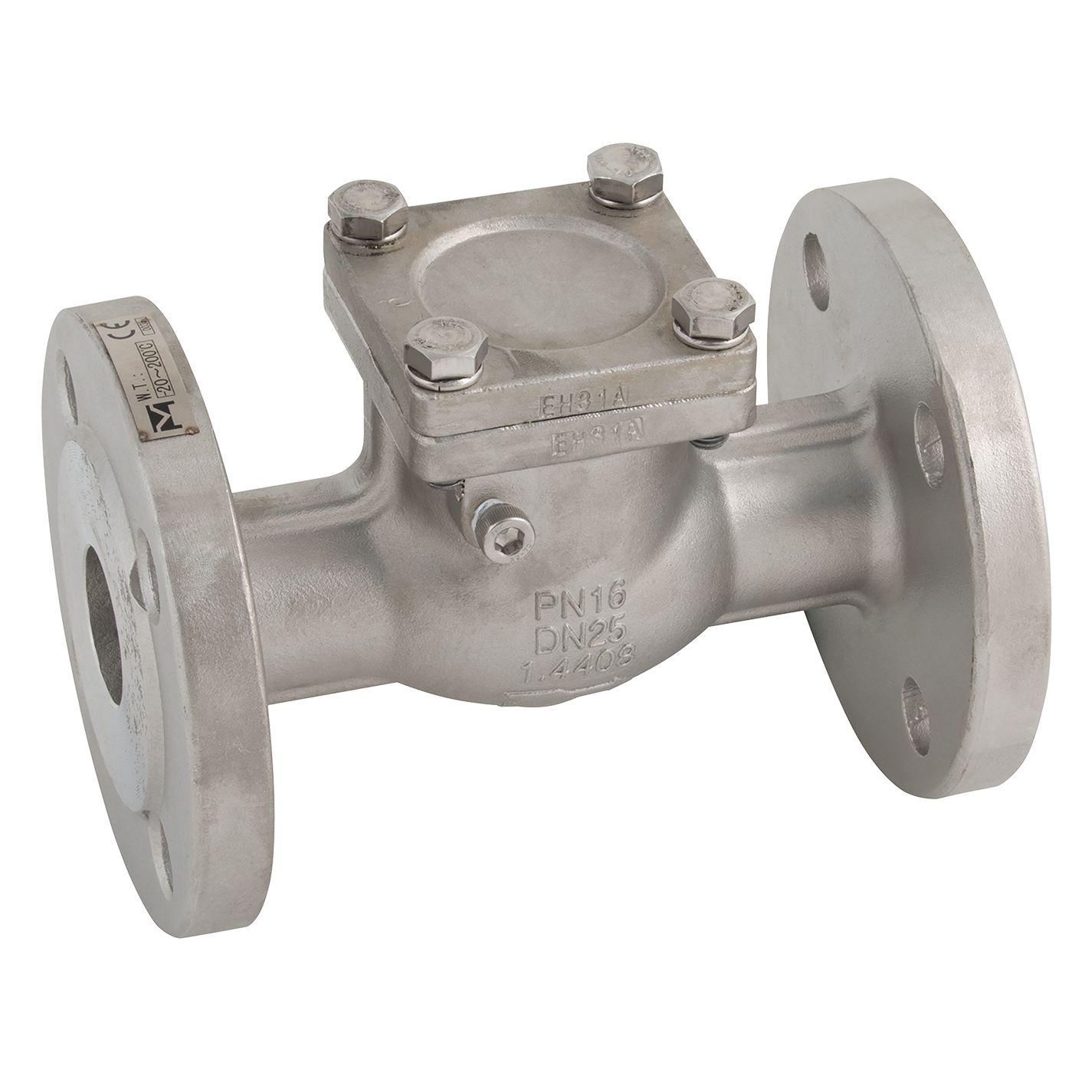 2" PN16 FLANGED S/S SWING CHECK Valve