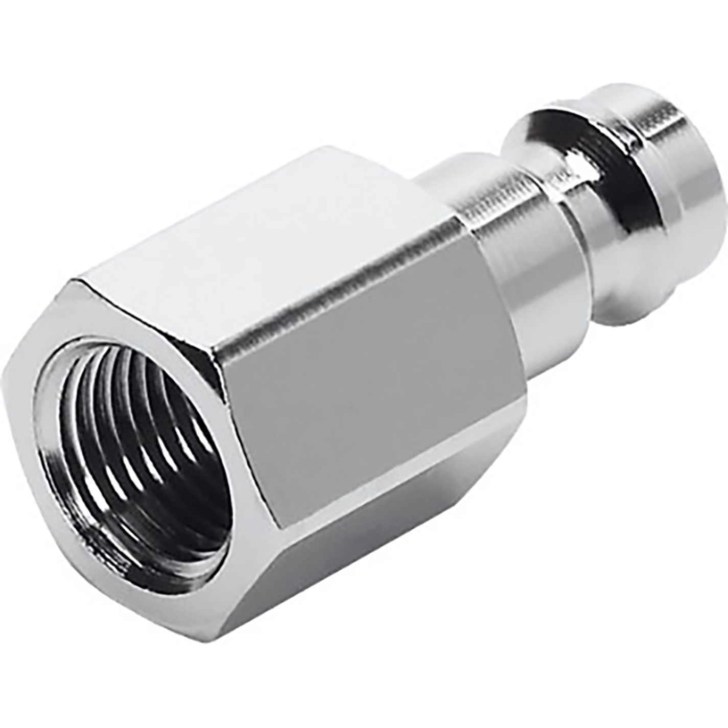 1/4" BSPP Female Plug