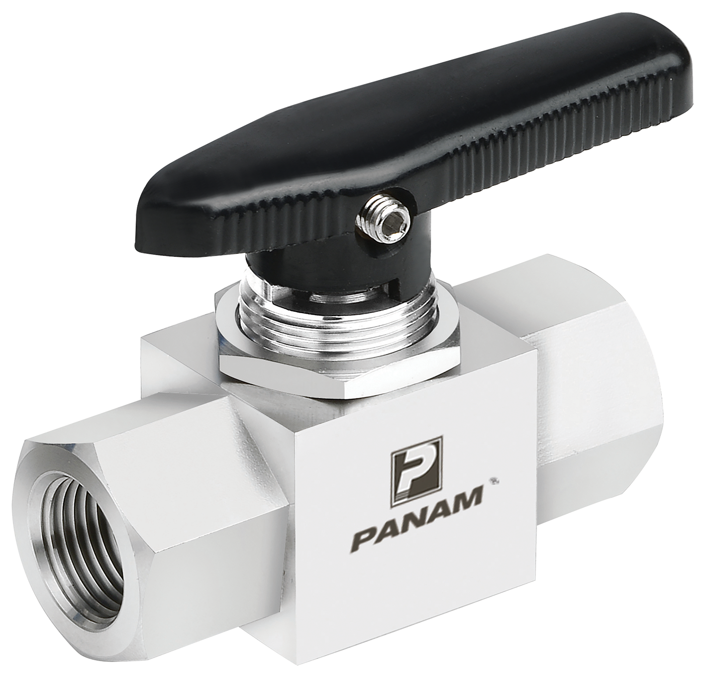 1/8" NPT 316 SS Ball Valve 6000 psi Rated Ball Valve