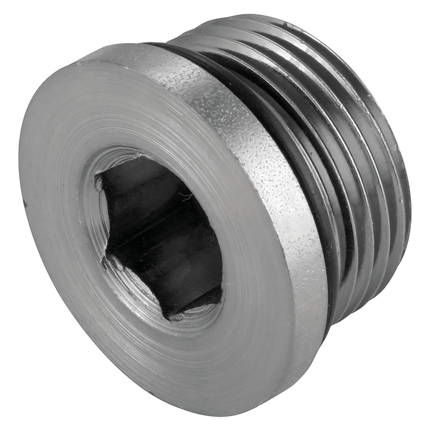 6408HHP-10 Dixon Valve Zinc Plated Steel Hollow Hex O-Ring Plug - 7/8