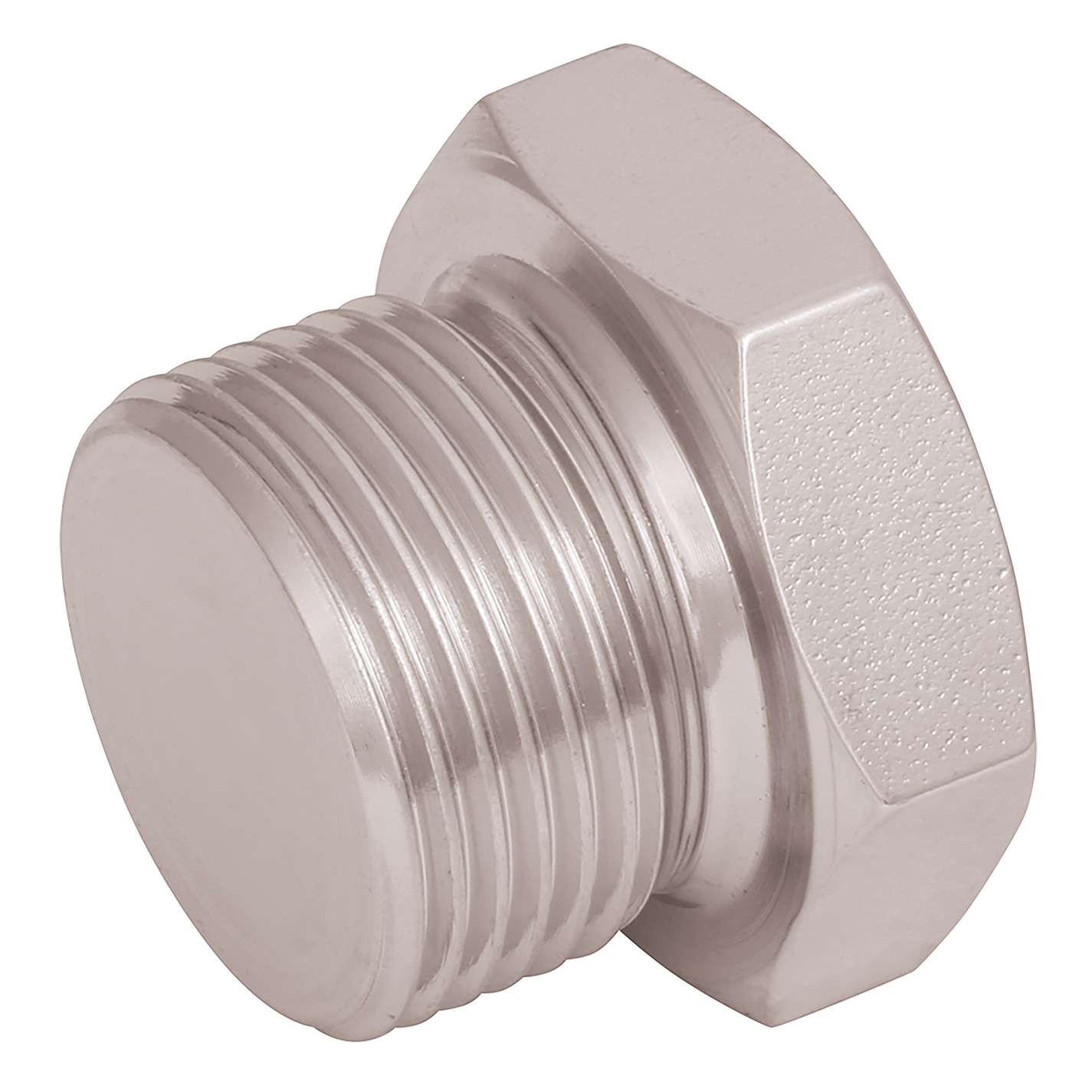 KR 1 4 BSP BLANKING PLUG Flotec