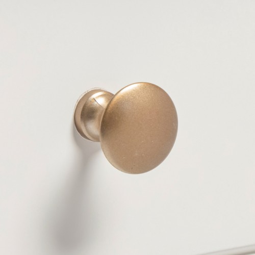 Polished Brass Handles