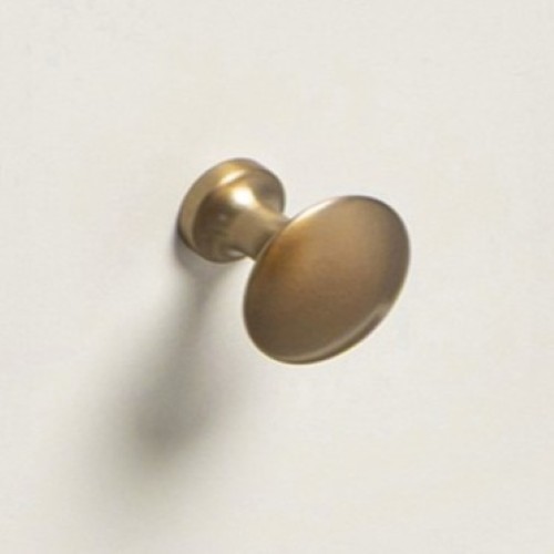 Polished Brass Handles
