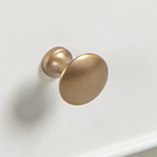 Polished Brass Handles