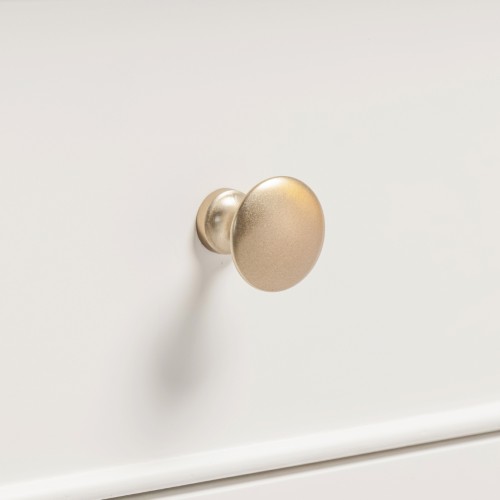 Polished Brass Handles