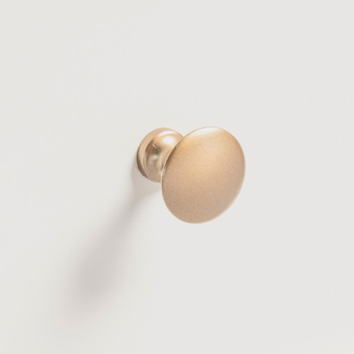 Polished Brass Handles