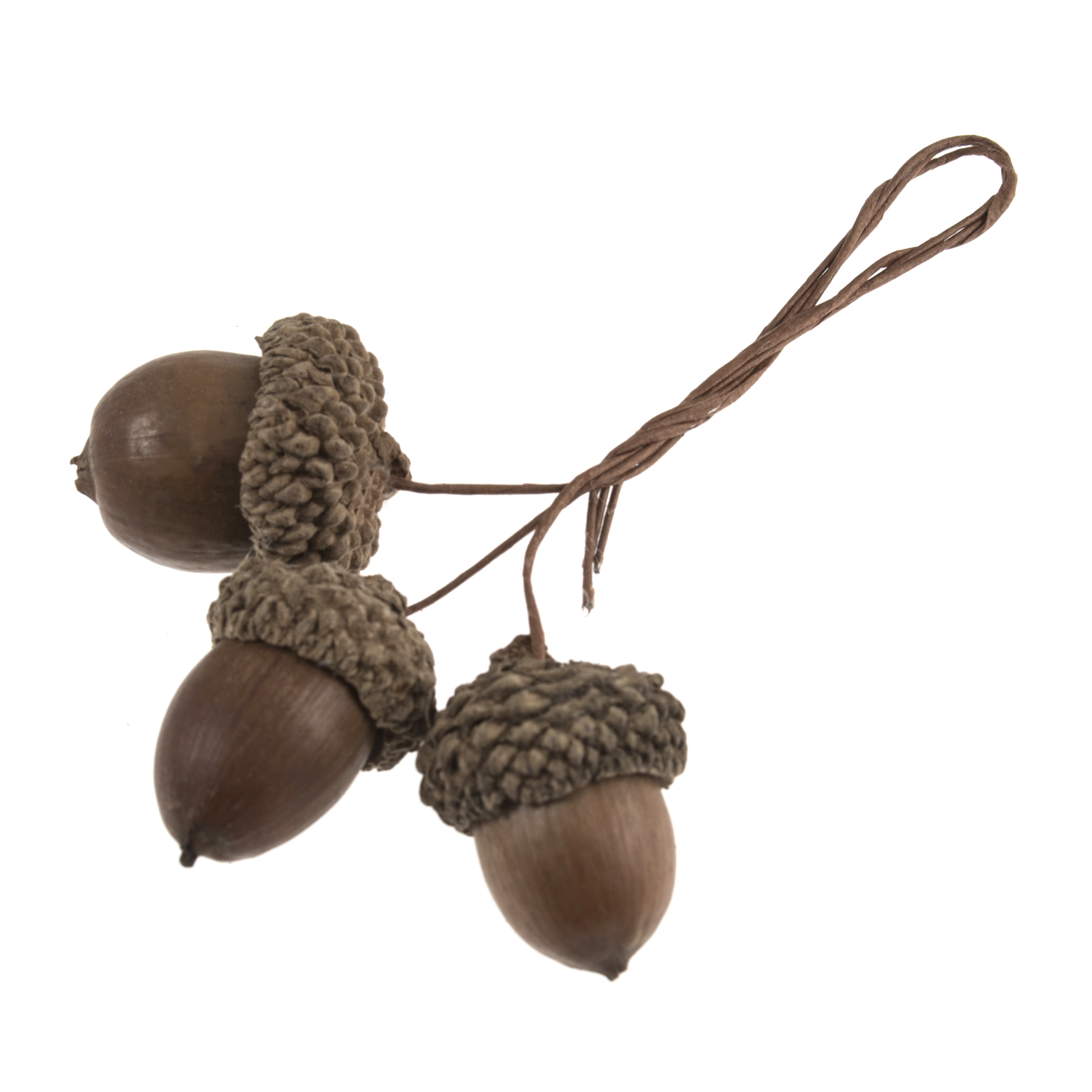 Picture of Pick: Natural Acorns on Wires: 9 Pieces