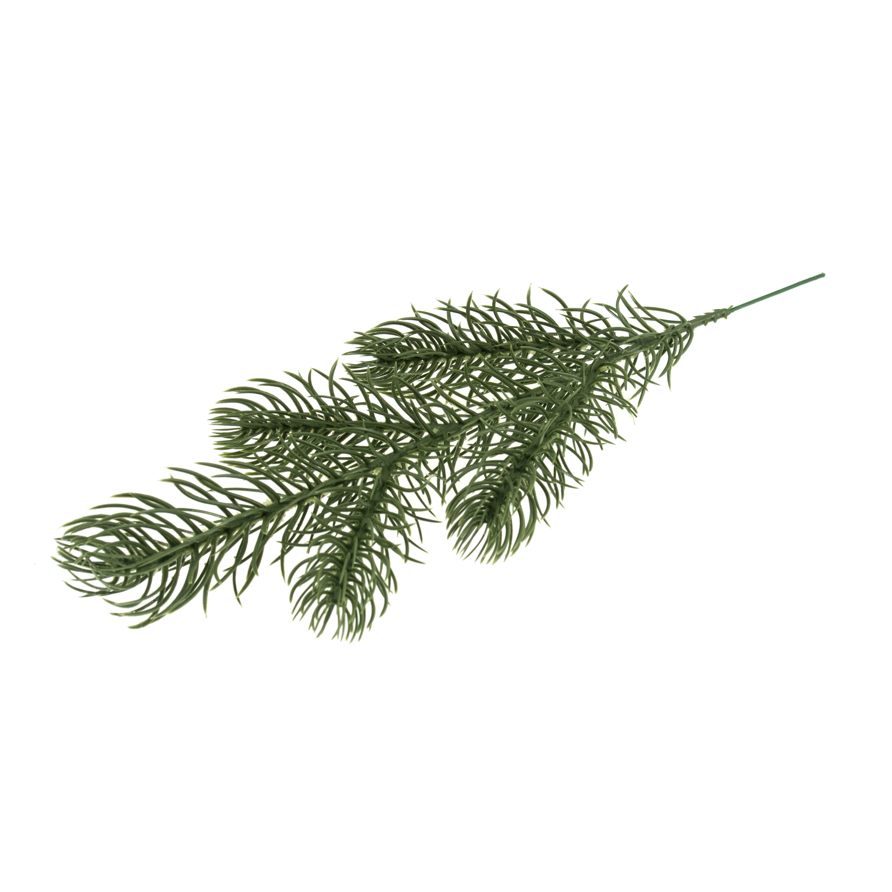 Picture of Branch: Nordic Spruce: 1 Piece: 25cm