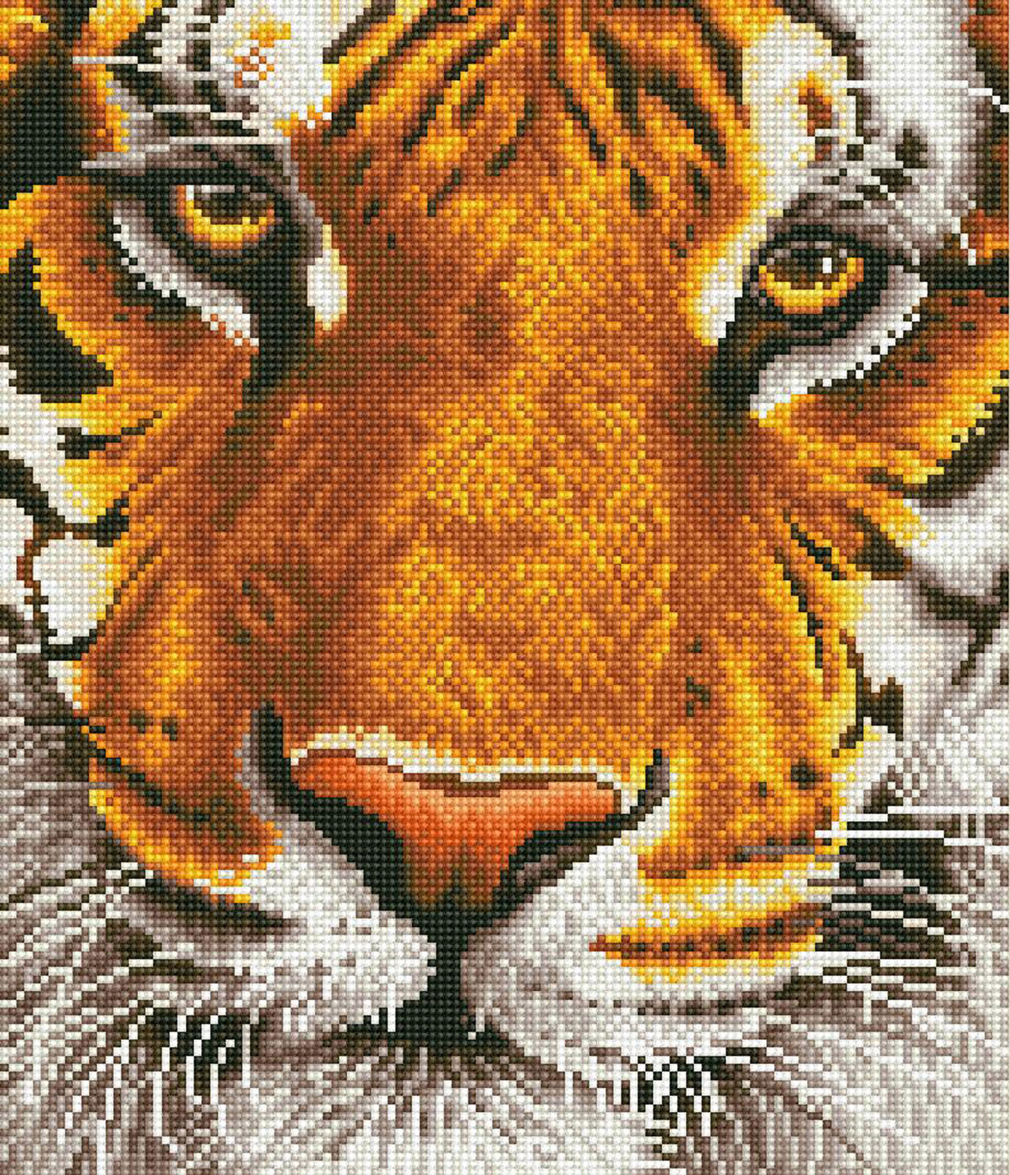 Picture of Diamond Painting Kit: Bengal Magic