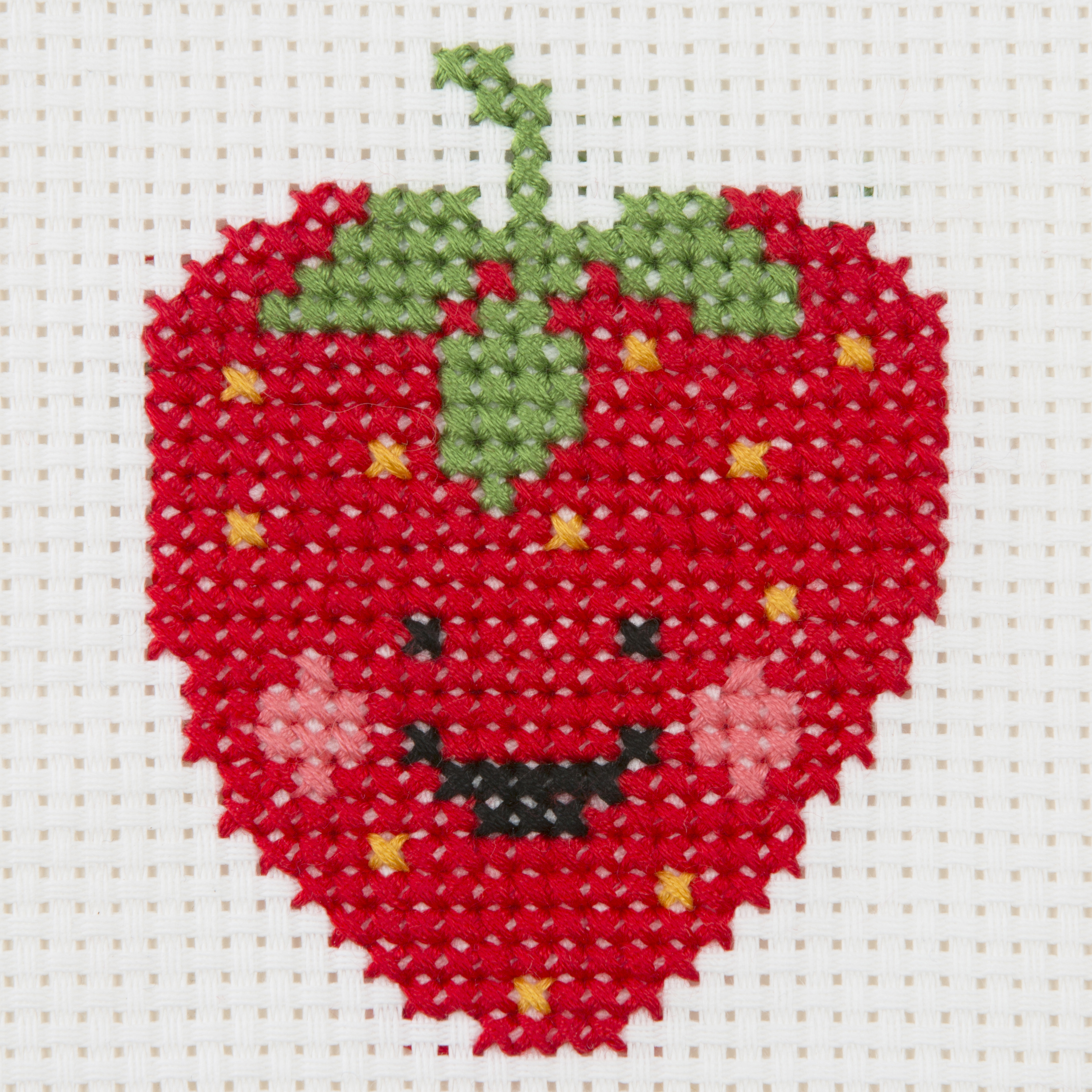 Picture of Counted Cross Stitch Kit: 1st Kit: Strawberry