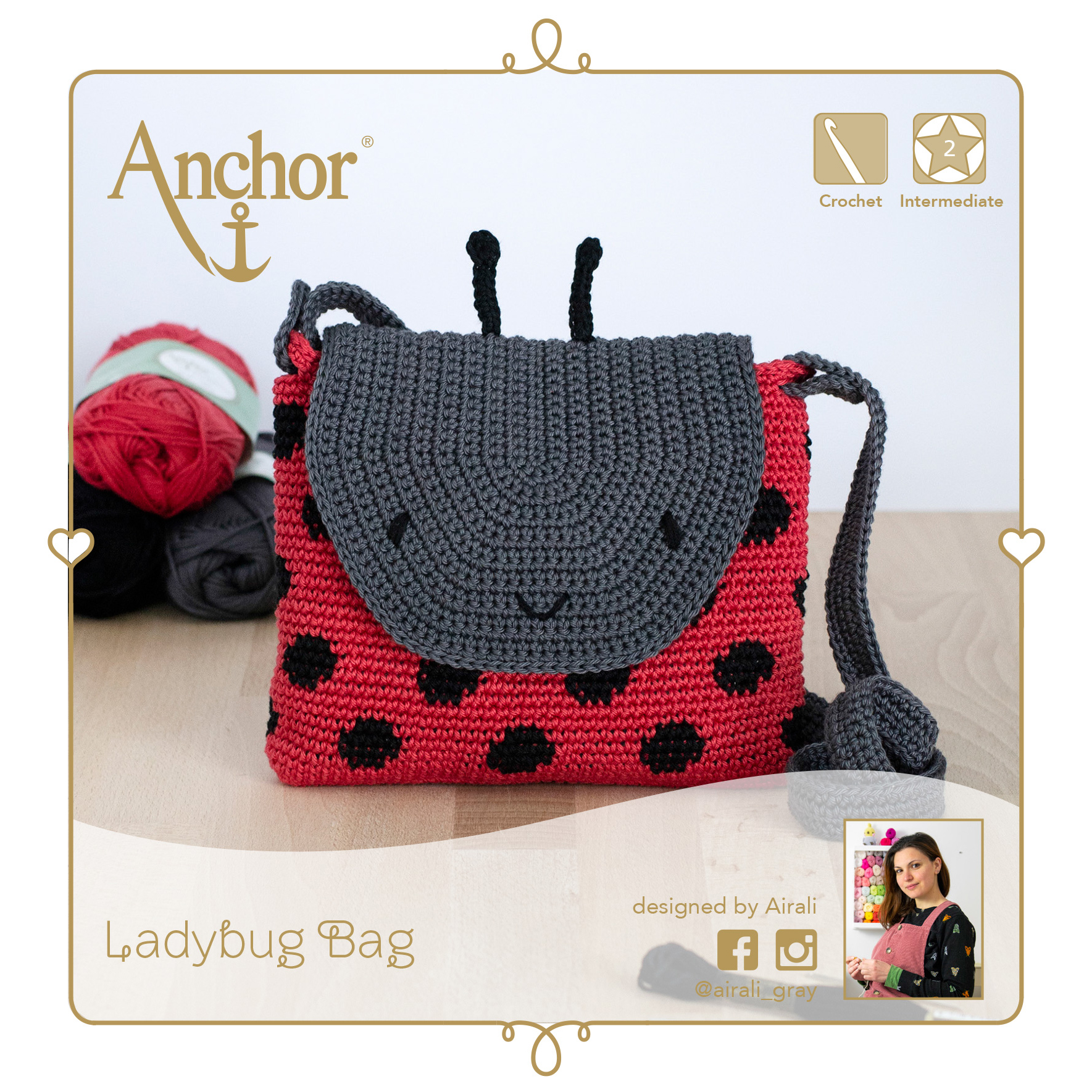 Crochet Kit Bag Ladybug Anchor Groves and Banks